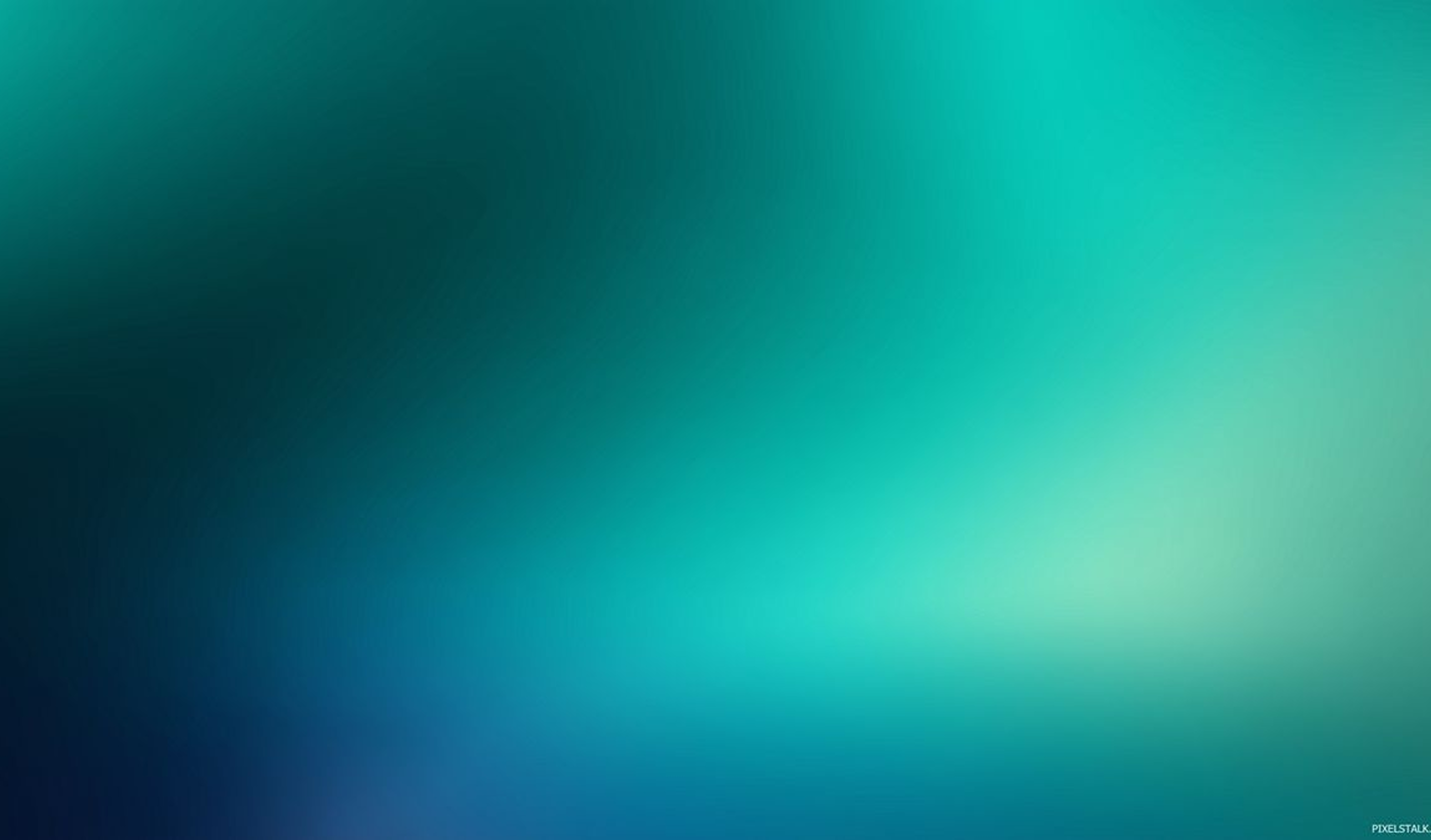 Services Banner